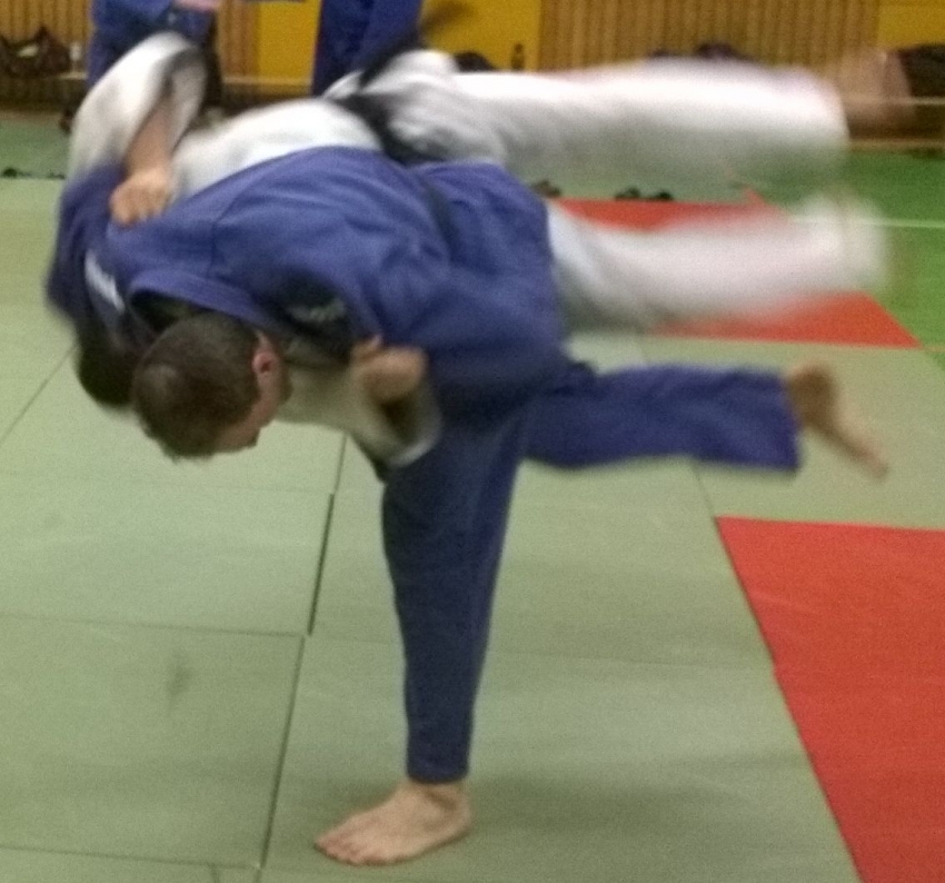 Judoka Stefan Kley, Version 9.0